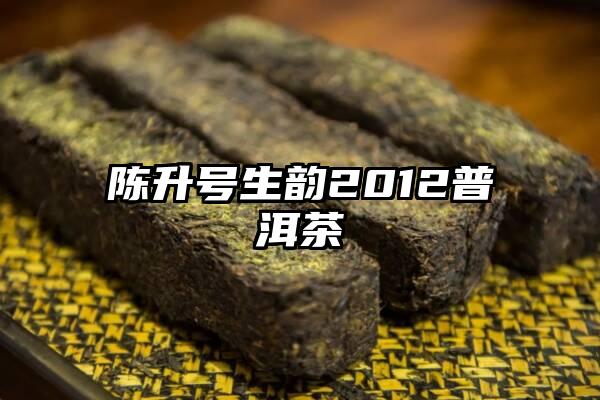 陈升号生韵2012普洱茶