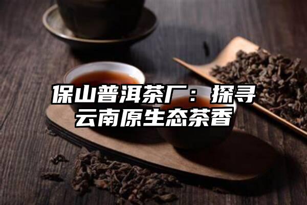 保山普洱茶厂：探寻云南原生态茶香