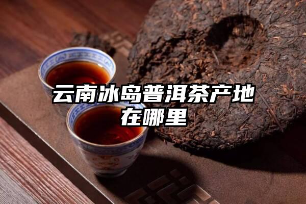 云南冰岛普洱茶产地在哪里