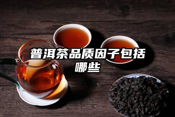 普洱茶品质因子包括哪些
