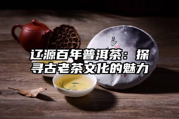 辽源百年普洱茶：探寻古老茶文化的魅力
