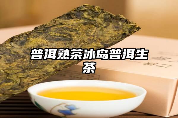 普洱熟茶冰岛普洱生茶