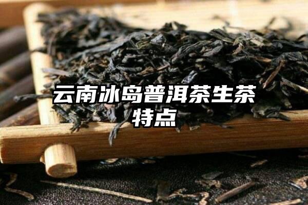 云南冰岛普洱茶生茶特点