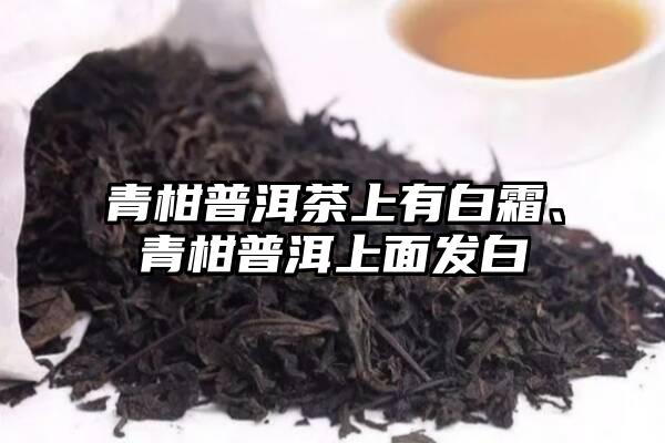 青柑普洱茶上有白霜、青柑普洱上面发白