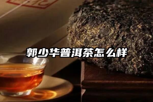 郭少华普洱茶怎么样