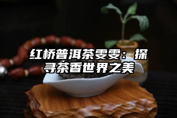 红桥普洱茶雯雯：探寻茶香世界之美