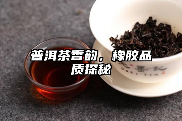 普洱茶香韵，橡胶品质探秘