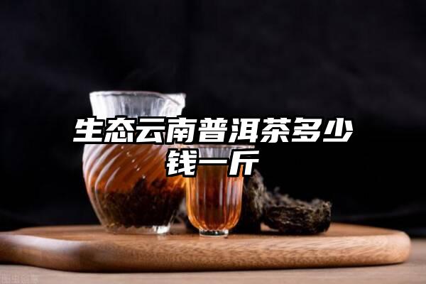 生态云南普洱茶多少钱一斤