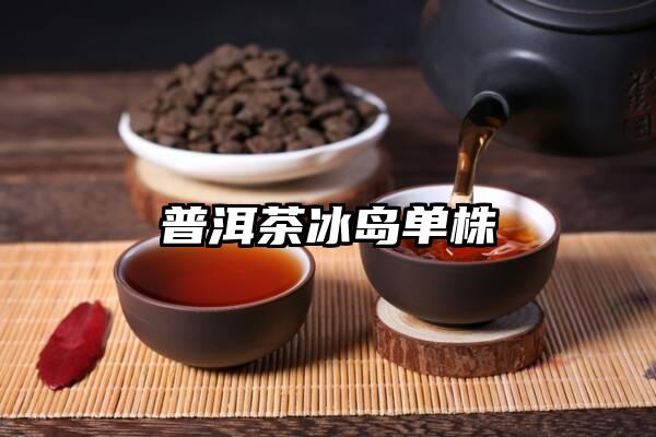 普洱茶冰岛单株