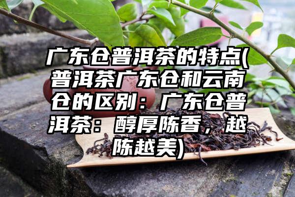 广东仓普洱茶的特点(普洱茶广东仓和云南仓的区别：广东仓普洱茶：醇厚陈香，越陈越美)