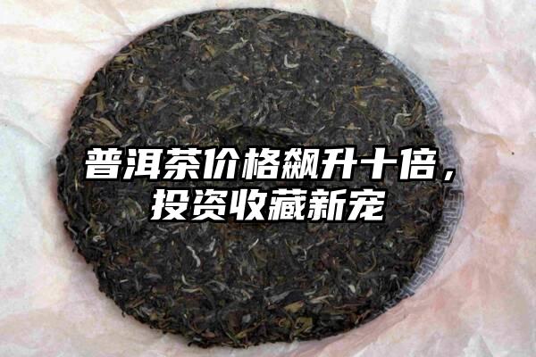 普洱茶价格飙升十倍，投资收藏新宠