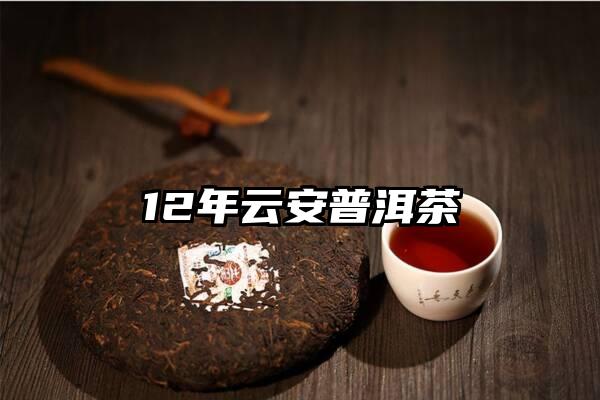 12年云安普洱茶