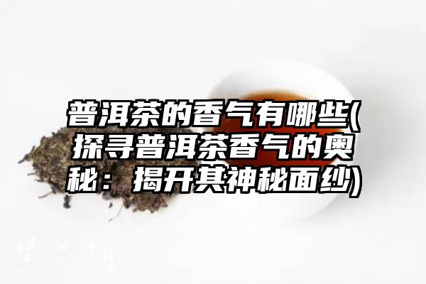 普洱茶的香气有哪些(探寻普洱茶香气的奥秘：揭开其神秘面纱)