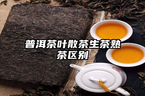 普洱茶叶散茶生茶熟茶区别