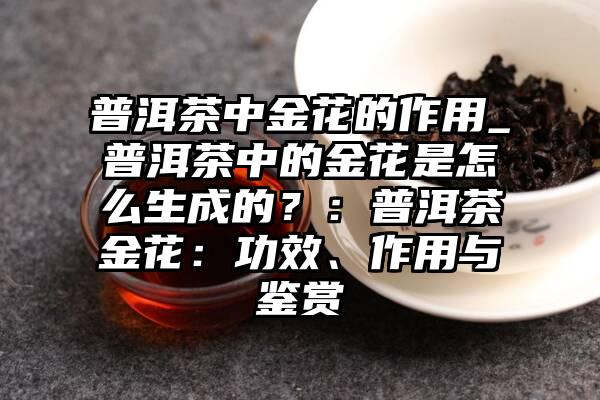 普洱茶中金花的作用_普洱茶中的金花是怎么生成的？：普洱茶金花：功效、作用与鉴赏