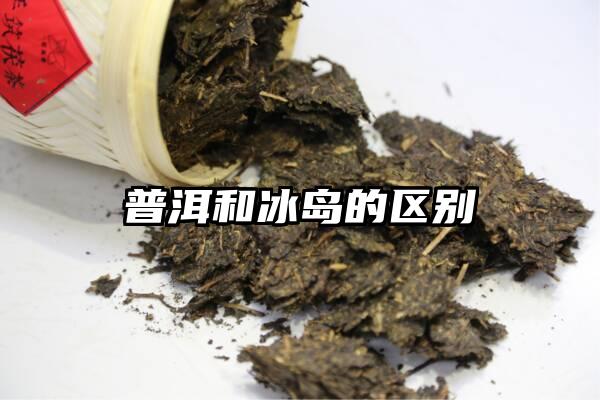 普洱和冰岛的区别