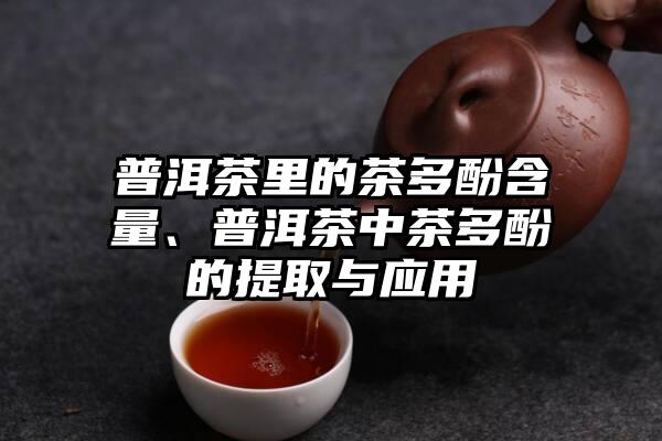 普洱茶里的茶多酚含量、普洱茶中茶多酚的提取与应用