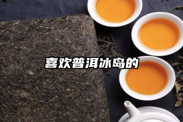 喜欢普洱冰岛的