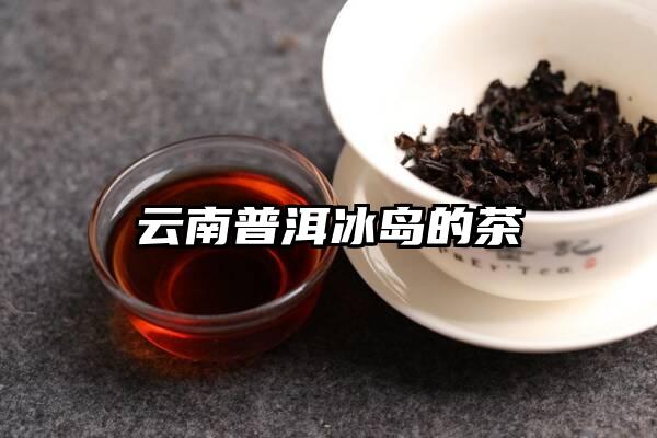 云南普洱冰岛的茶