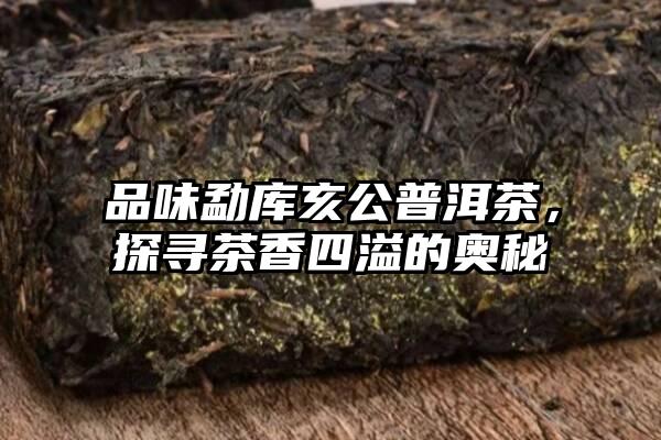 品味勐库亥公普洱茶，探寻茶香四溢的奥秘