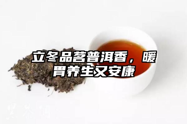 立冬品茗普洱香，暖胃养生又安康