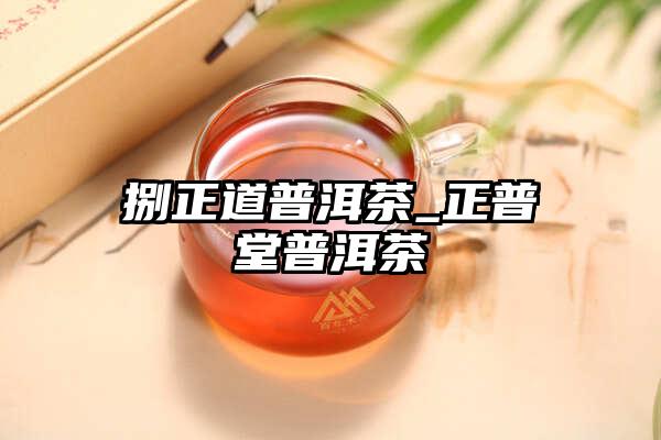 捌正道普洱茶_正普堂普洱茶