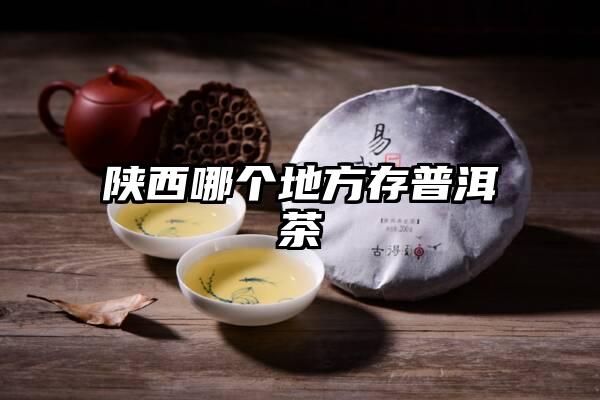 陕西哪个地方存普洱茶