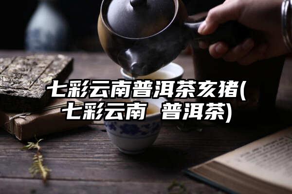 七彩云南普洱茶亥猪(七彩云南 普洱茶)