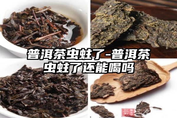 普洱茶虫蛀了-普洱茶虫蛀了还能喝吗