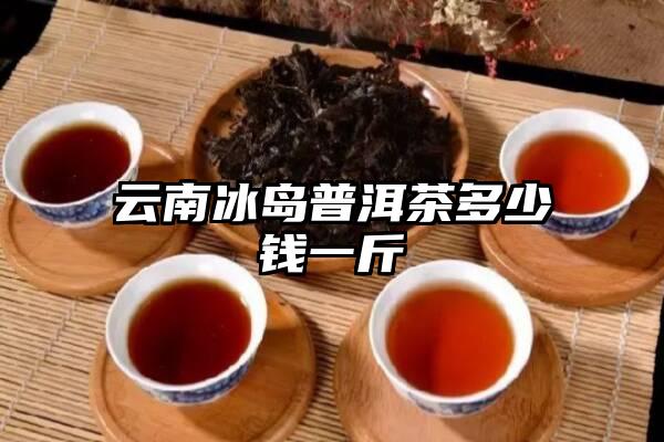 云南冰岛普洱茶多少钱一斤