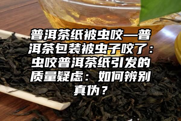 普洱茶纸被虫咬—普洱茶包装被虫子咬了：虫咬普洱茶纸引发的质量疑虑：如何辨别真伪？