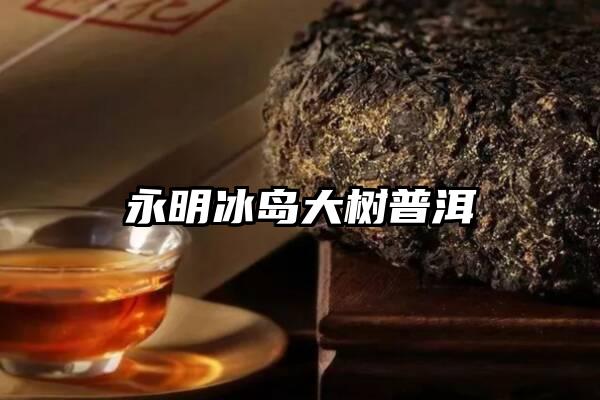 永明冰岛大树普洱