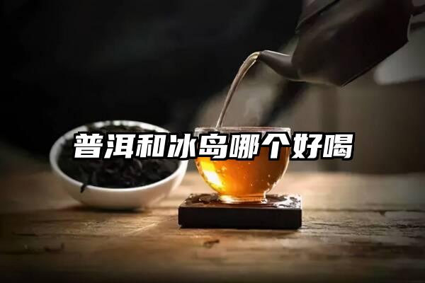 普洱和冰岛哪个好喝