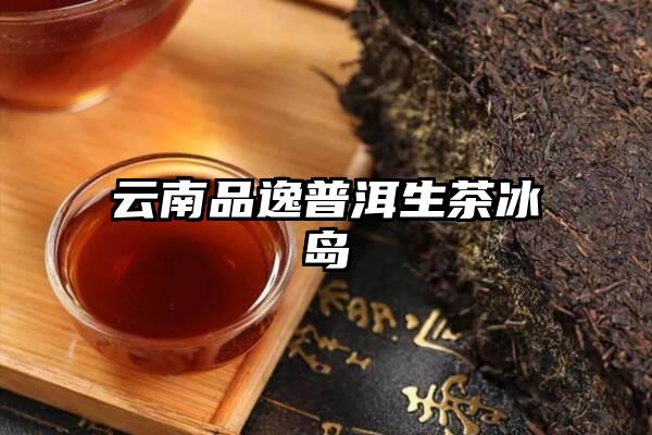 云南品逸普洱生茶冰岛