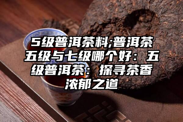 5级普洱茶料;普洱茶五级与七级哪个好：五级普洱茶：探寻茶香浓郁之道