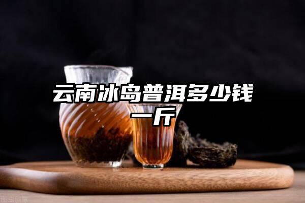 云南冰岛普洱多少钱一斤