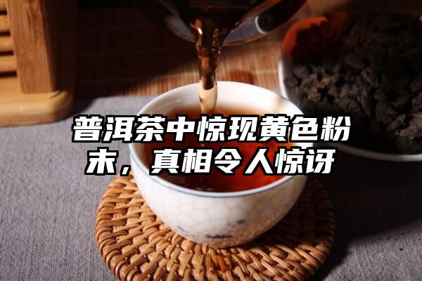 普洱茶中惊现黄色粉末，真相令人惊讶