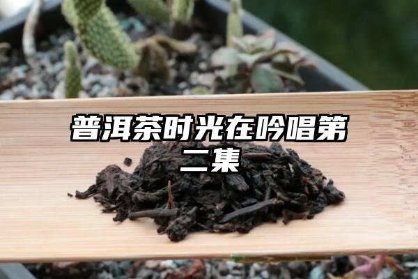 普洱茶时光在吟唱第二集