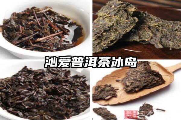 沁爱普洱茶冰岛