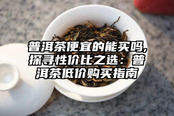 普洱茶便宜的能买吗,探寻性价比之选：普洱茶低价购买指南