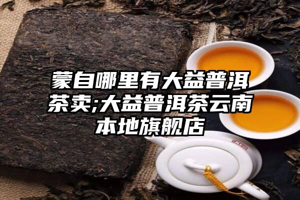 蒙自哪里有大益普洱茶卖;大益普洱茶云南本地旗舰店