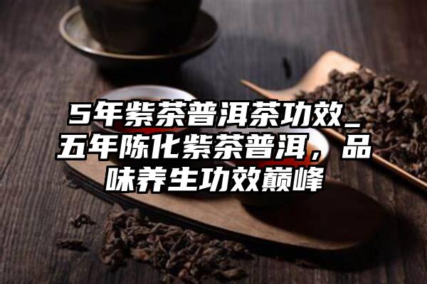 5年紫茶普洱茶功效_五年陈化紫茶普洱，品味养生功效巅峰