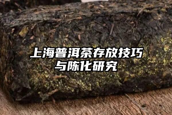 上海普洱茶存放技巧与陈化研究