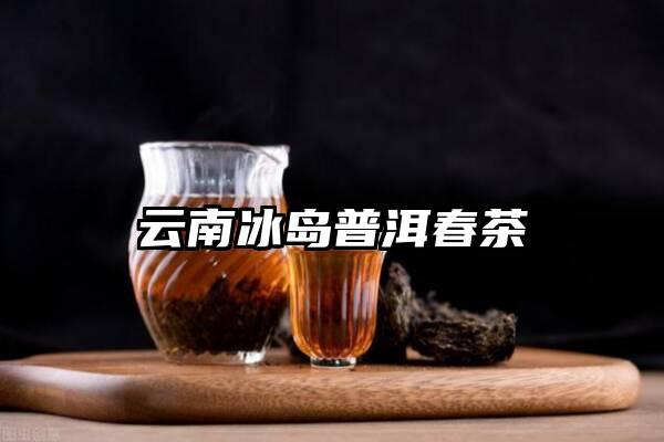 云南冰岛普洱春茶