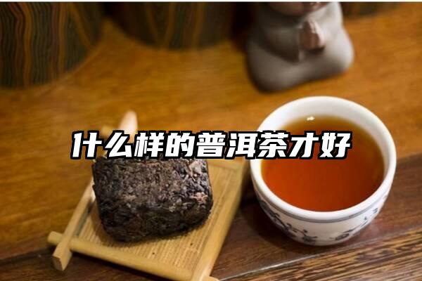 什么样的普洱茶才好