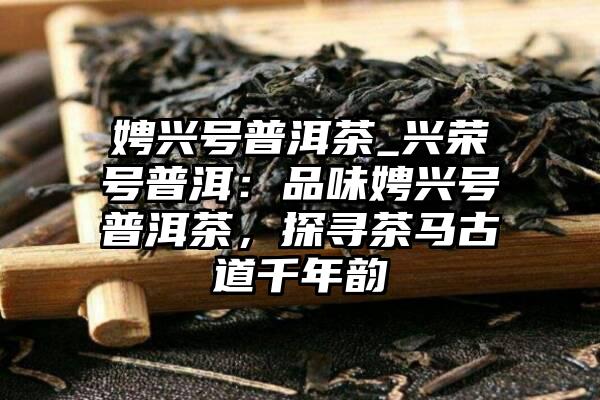 娉兴号普洱茶_兴荣号普洱：品味娉兴号普洱茶，探寻茶马古道千年韵