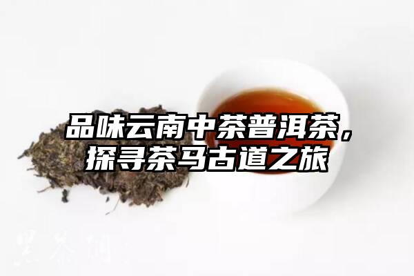 品味云南中茶普洱茶，探寻茶马古道之旅