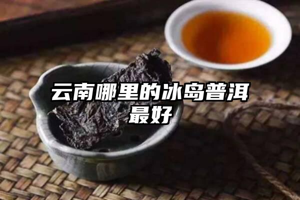 云南哪里的冰岛普洱最好