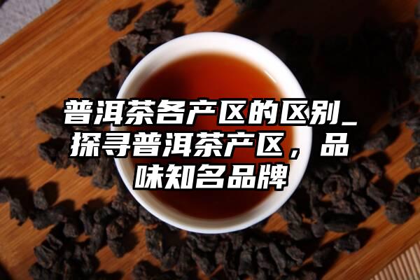 普洱茶各产区的区别_探寻普洱茶产区，品味知名品牌