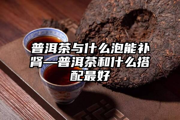 普洱茶与什么泡能补肾—普洱茶和什么搭配最好